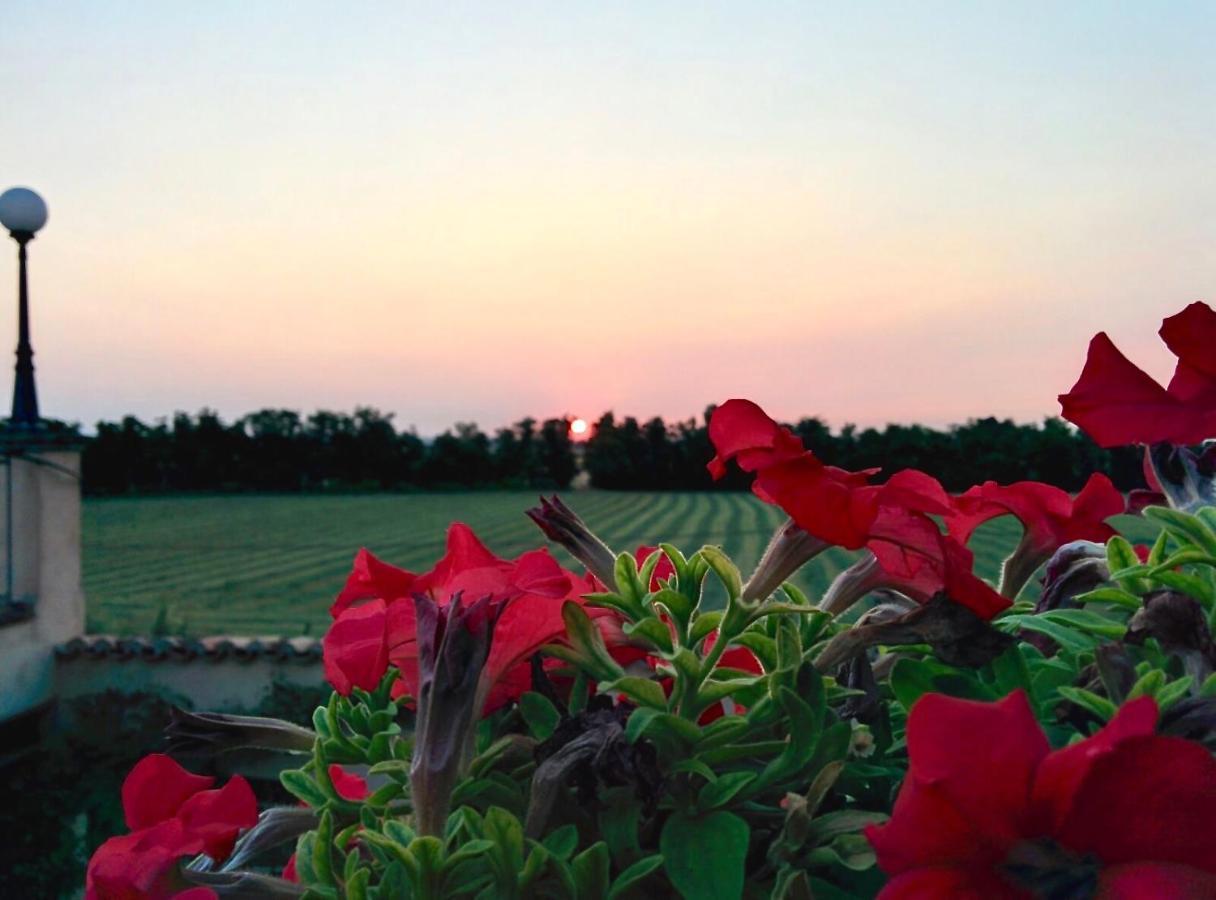 Agriturismo Corte Bebbi Bibbiano  Zewnętrze zdjęcie